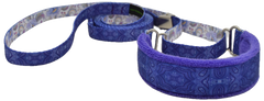 Purple Pinpoints Everyday Martingale Walking Lead