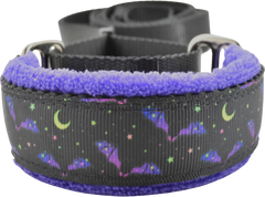 Bats Ahoy fleece-lined martingale walking lead by Fuzzywumpets.