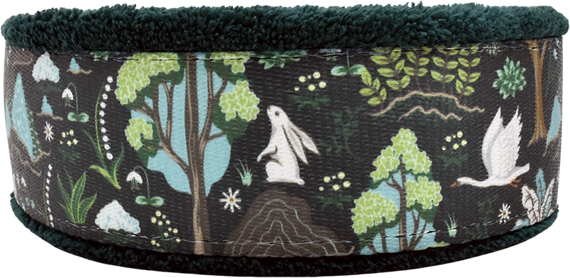Enchanted Forest