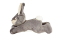 Jessica Bunny Fluff and Tuff