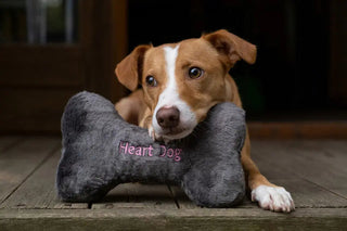 Heart Dog Bone Fluff and Tuff
