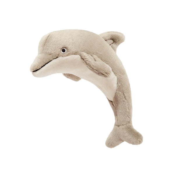 Danny Dolphin