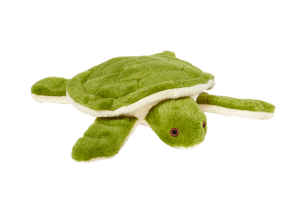Esmerelda Turtle