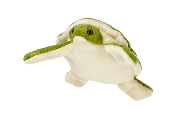 Esmerelda Turtle