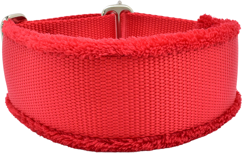 1.5" Solid Color Heavy Nylon Everyday Limited Slip Collar for dogs, Aqua leather lining, handmade in the USA by Fuzzywumpets.