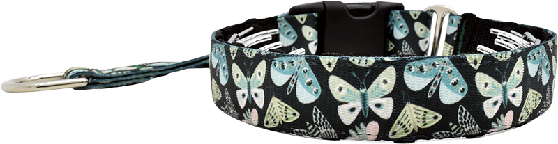 Luna black with green and blue butterfly print hidden prong / private trainer dog collar by Fuzzywumpets.