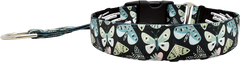 Luna black with green and blue butterfly print hidden prong / private trainer dog collar by Fuzzywumpets.