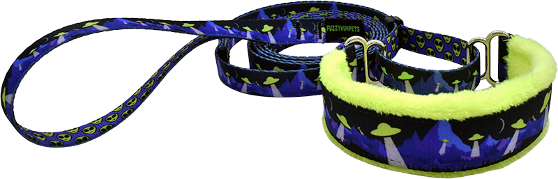 1" Beam Me Up Everyday Martingale Walking Lead for dogs, handmade in the USA by Fuzzywumpets.