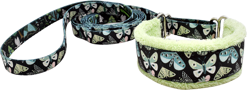 1.5" Luna Everyday Martingale Walking Lead