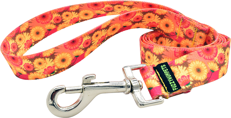 Snap Leashes