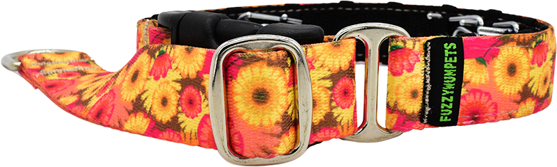 Hothouse Flowers orange and pink sunflower blooms hidden prong / private trainer dog collar by Fuzzywumpets 1 inch wide.