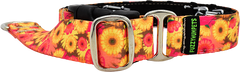 Hothouse Flowers orange and pink sunflower blooms hidden prong / private trainer dog collar by Fuzzywumpets 1 inch wide.