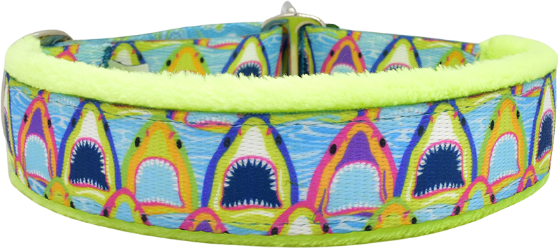 1" Bitey Face Everyday Limited Slip Collar for dogs, Purple leather lining, handmade in the USA by Fuzzywumpets.
