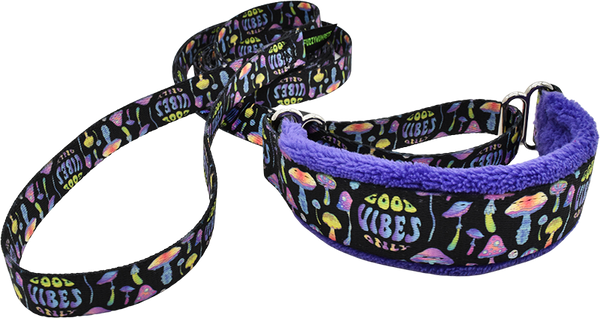 Good Vibes Everyday Martingale Walking Lead