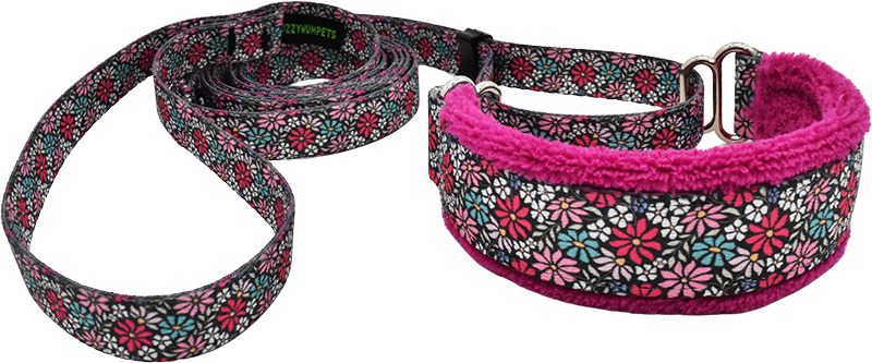 Evanston Floral Everyday Martingale Walking Lead for dogs, handmade in the USA by Fuzzywumpets.
