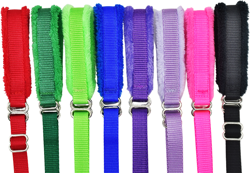 Puppy Walking Leads