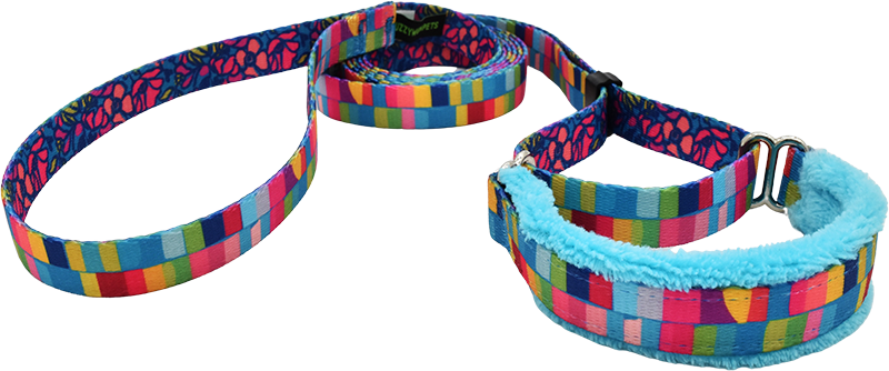5/8" Color Drench Everyday Martingale Walking Lead for dogs, handmade in the USA by Fuzzywumpets.