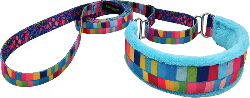1" Color Drench Everyday Martingale Walking Lead for dogs, Aqua leather lining, handmade in the USA by Fuzzywumpets.