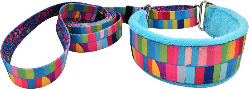 1.5" Color Drench Everyday Martingale Walking Lead for dogs, handmade in the USA by Fuzzywumpets.