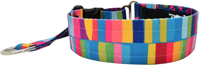 Color Drench multicolor rainbow stripe blocks hidden prong / private trainer dog collar by Fuzzywumpets.