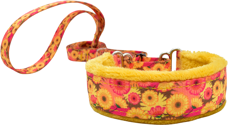 Hothouse Flowers Everyday Martingale Walking Lead Fuzzywumpets 1 inch wide.