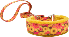 Hothouse Flowers Everyday Martingale Walking Lead Fuzzywumpets 1 inch wide.