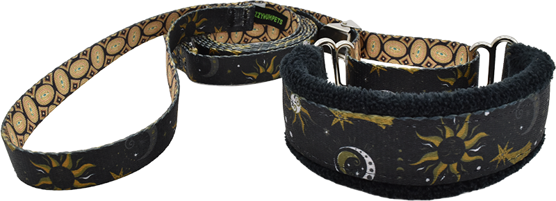 Celestial Splendor Everyday Martingale Walking Lead for dogs, handmade in the USA by Fuzzywumpets.