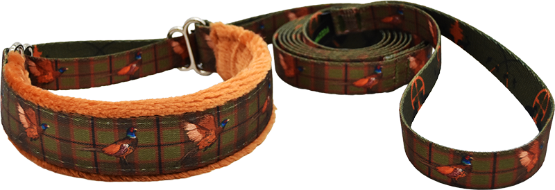 Upland Bird fleece-lined martingale walking lead by Fuzzywumpets.
