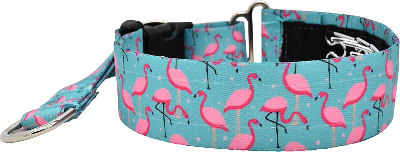 A Leg to Stand On teal and pink flamingo print hidden prong / private trainer dog collar by Fuzzywumpets.