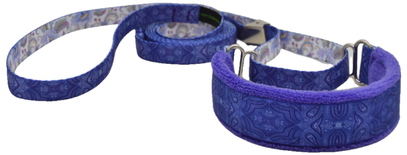 Purple Pinpoints Everyday Martingale Walking Lead
