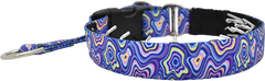 Vertigo purple and multicolor psychedelic wave hidden prong / private trainer dog collar by Fuzzywumpets.