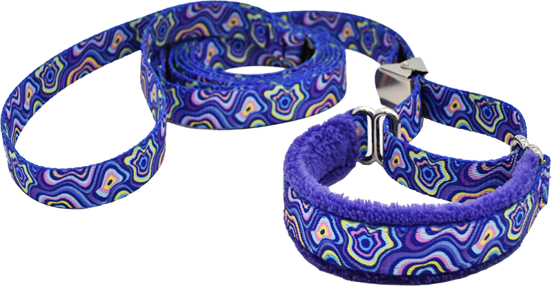 Vertigo purple and multicolor psychedelic wave fleece-lined martingale walking lead — no-slip dog leash by Fuzzywumpets.