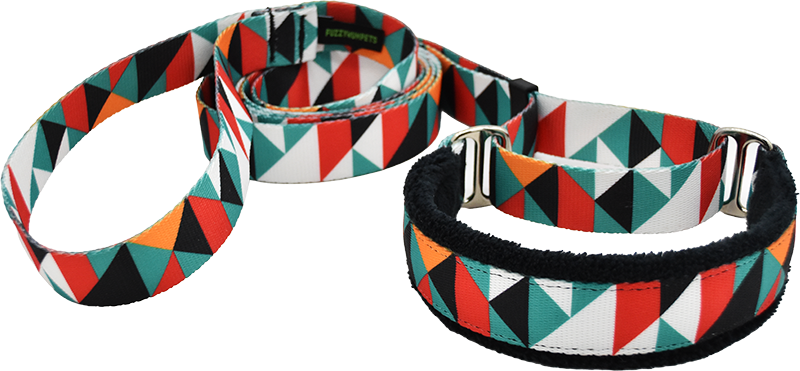 1" Tortilla Chips Everyday Walking Lead for dogs, handmade in the USA by Fuzzywumpets.