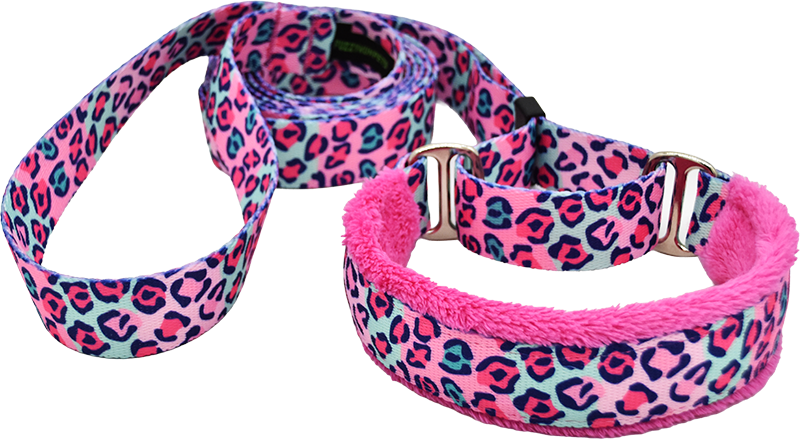 1" Quite Frank Everyday Walking Lead for dogs, handmade in the USA by Fuzzywumpets.