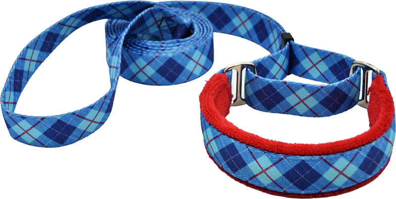 1" Cardinal Coast Argyle Everyday Walking Lead for dogs, handmade in the USA by Fuzzywumpets.