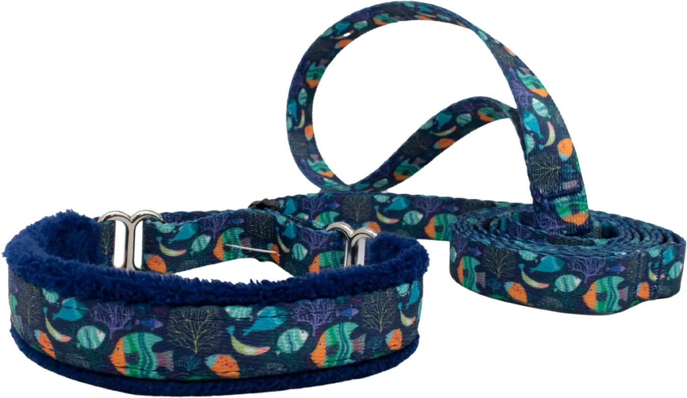5/8" Calypso Everyday Martingale Walking Lead for dogs, Navy leather lining, handmade in the USA by Fuzzywumpets.