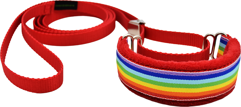 Stonewall fleece-lined martingale walking lead by Fuzzywumpets.