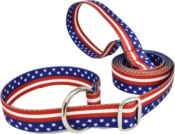 1" x 6ft Simplicity Americana Slip Lead - multiple patterns Fuzzywumpets