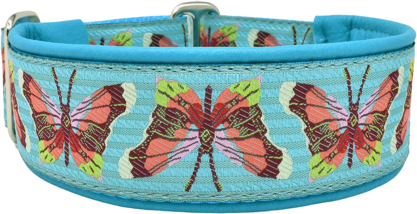 1.5" Mariposa Elite Limited Slip Collar for dogs, Aqua leather lining, handmade in the USA by Fuzzywumpets.