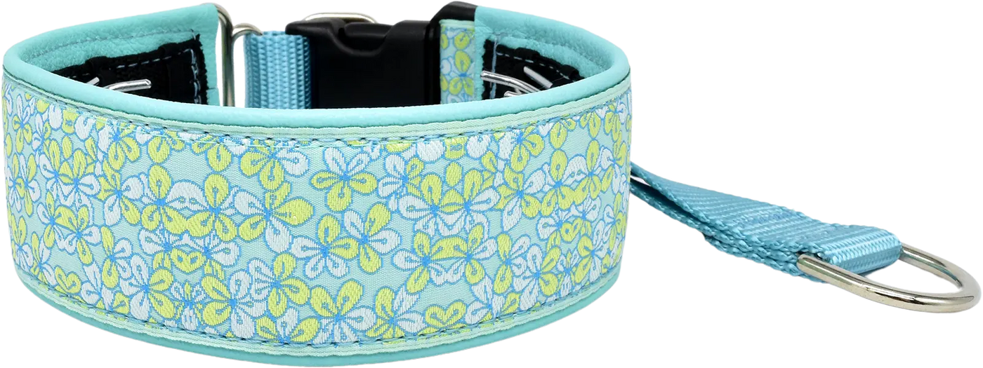 1.5" Secret Garden Elite Private Trainer for dogs, Aqua leather lining, handmade in the USA by Fuzzywumpets.