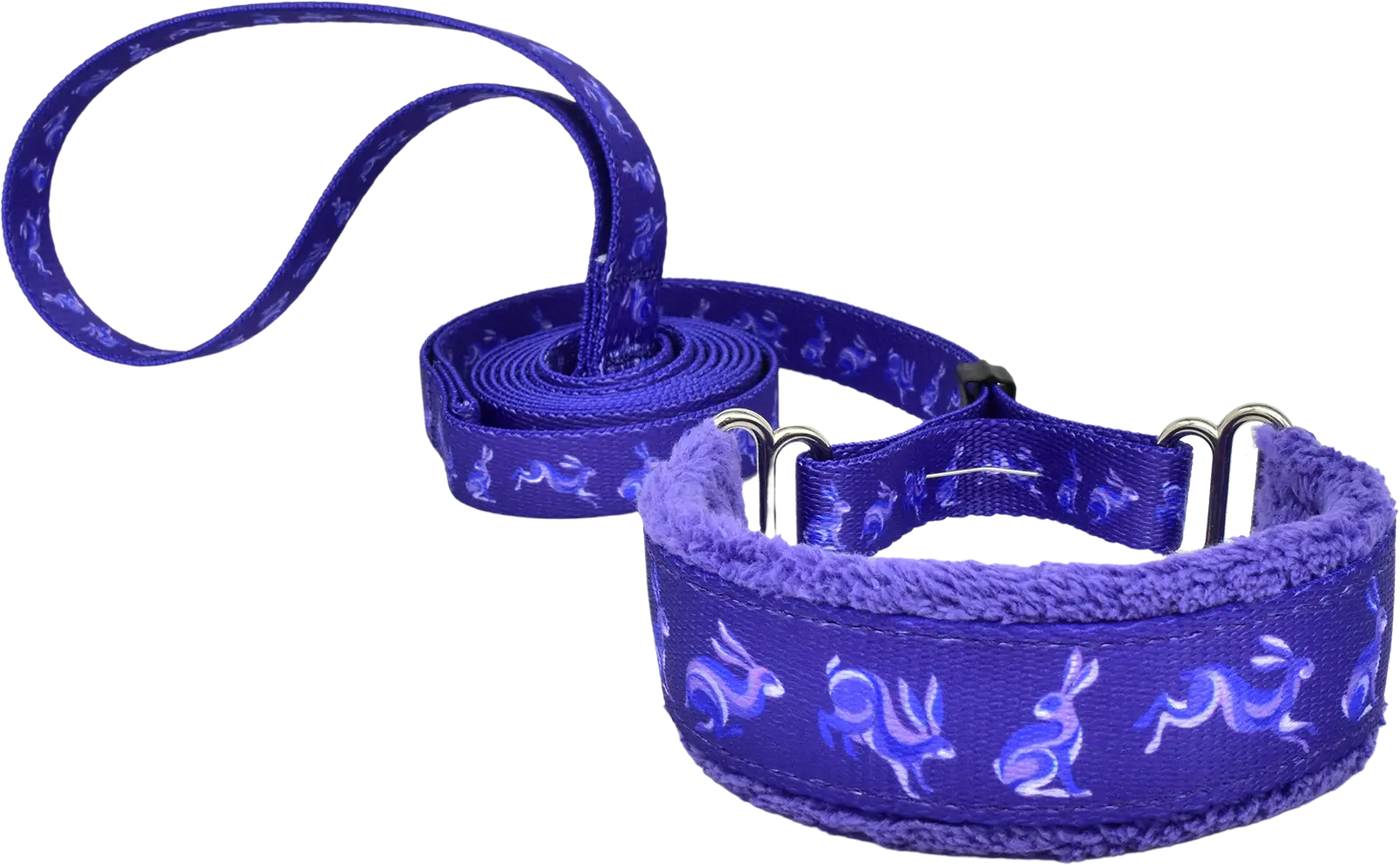 Groovy Rabbits Everyday Martingale Walking Lead Fuzzywumpets 1 inch wide.