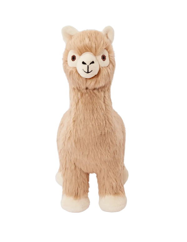 Inca Alpaca