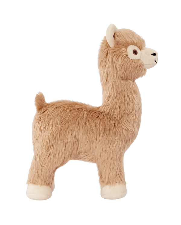 Inca Alpaca