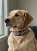 1.5” Barista Luxe Limited Slip Collar