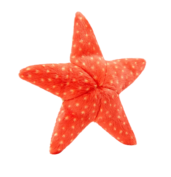 Ziggy Starfish