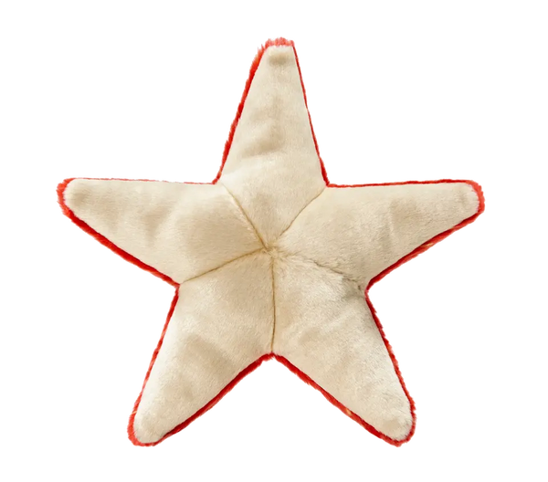 Ziggy Starfish