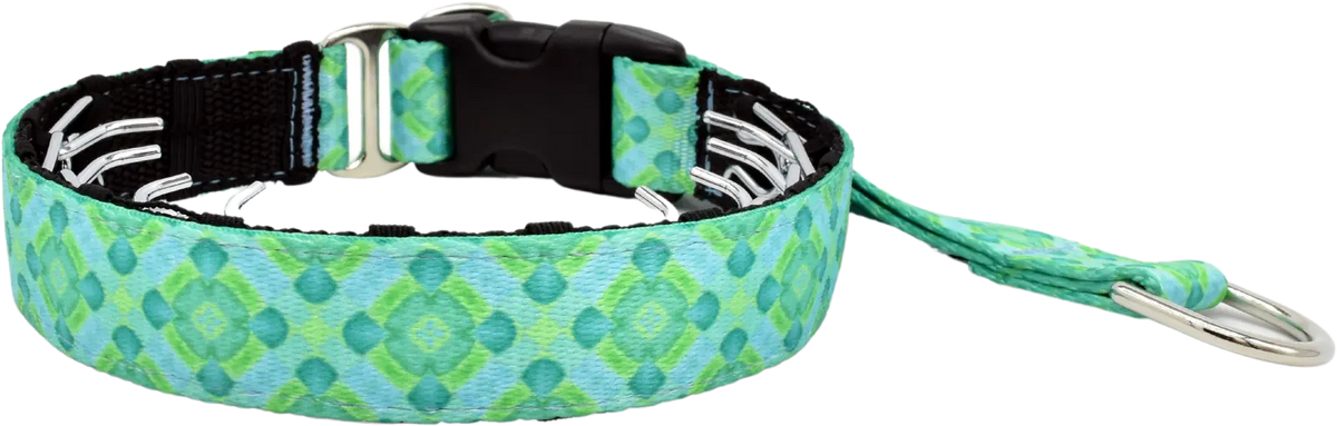 Aqua Santorini 1" Private Trainer by Fuzzywumpets