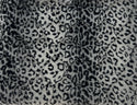 Crate Pads - Minky Animal Prints (Madison Regatta Cluster Pickup)