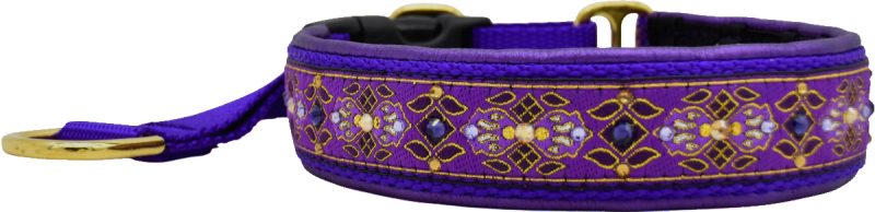 1" Moroccan Nights Luxe Private Trainer