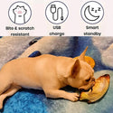 Floppy Fish Dog Toy generci